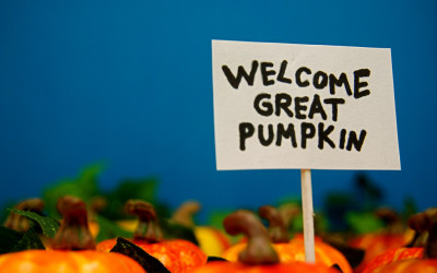 Not-So-Spooky Halloween Movies Perfect For the Whole Family