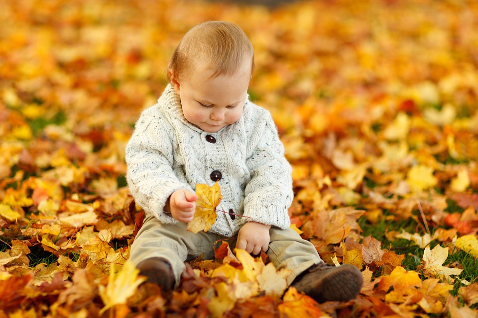 Photo by PublicDomainPictures, via Pixabay | https://pixabay.com/en/autumn-fall-baby-boy-child-cute-165184/