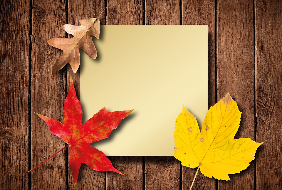 Photo by Stux, via Pixabay } https://pixabay.com/en/autumn-leaves-colorful-fall-foliage-1646799/