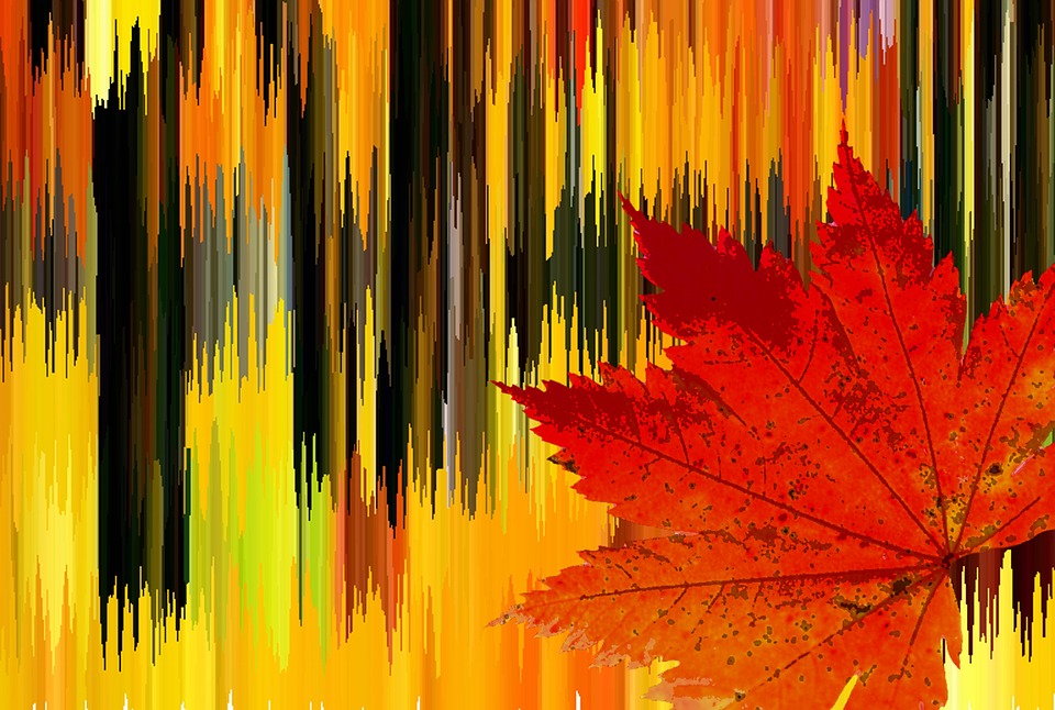 Photo by KreativeHexenkueche, via Pixabay | https://pixabay.com/en/autumn-autumn-colours-fall-color-1616660/