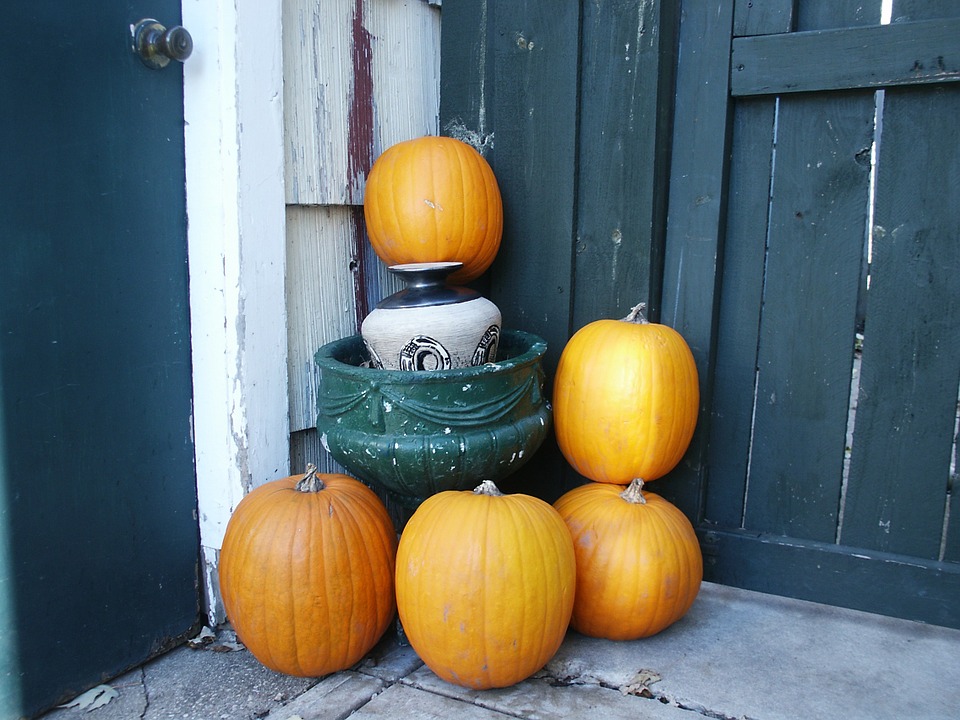 Photo by Try Jimmy, via Pixababy | https://pixabay.com/en/autumn-november-pumpkin-fall-207854/