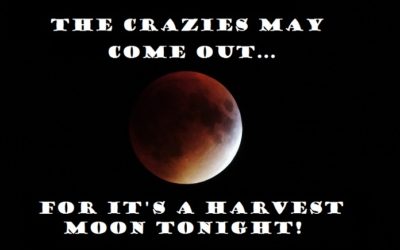 Harvest Moon to Appear Tonight, Less than a Week Before the Start of the Fall Season!