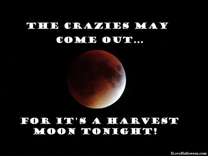 Harvest Moon to Appear Tonight, Less than a Week Before the Start of the Fall Season!