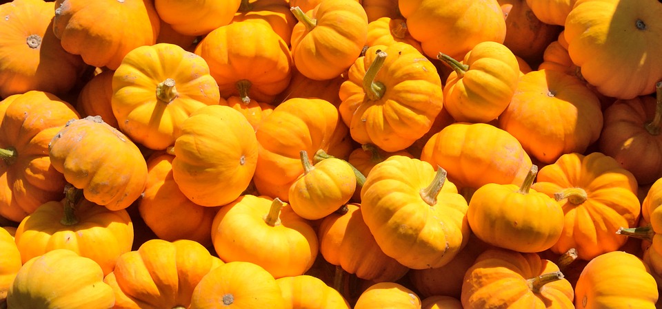 Tips to Picking the Perfect Pumpkins this Fall