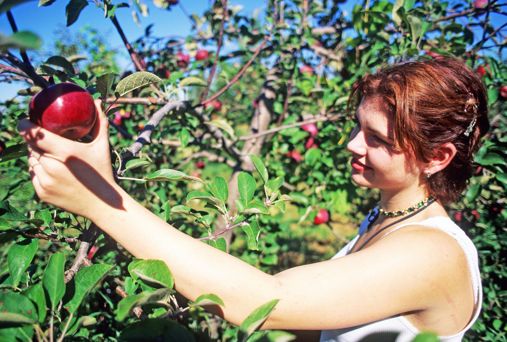 girl-picking-apple