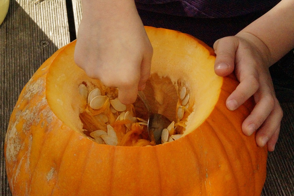 Photo by Efraimstochter, via Pixabay | https://pixabay.com/en/pumpkin-pumpkins-orange-bright-201102/