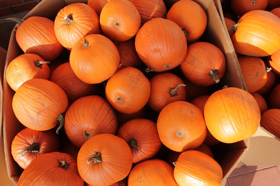 Photo by Skeeze, via Pixabay | https://pixabay.com/en/pumpkins-fresh-orange-agriculture-988846/