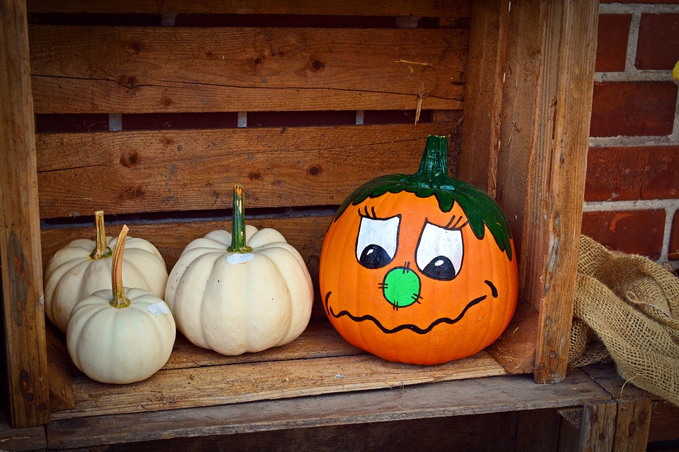 Decorate Your Pumpkins with These Fun Decor Ideas!